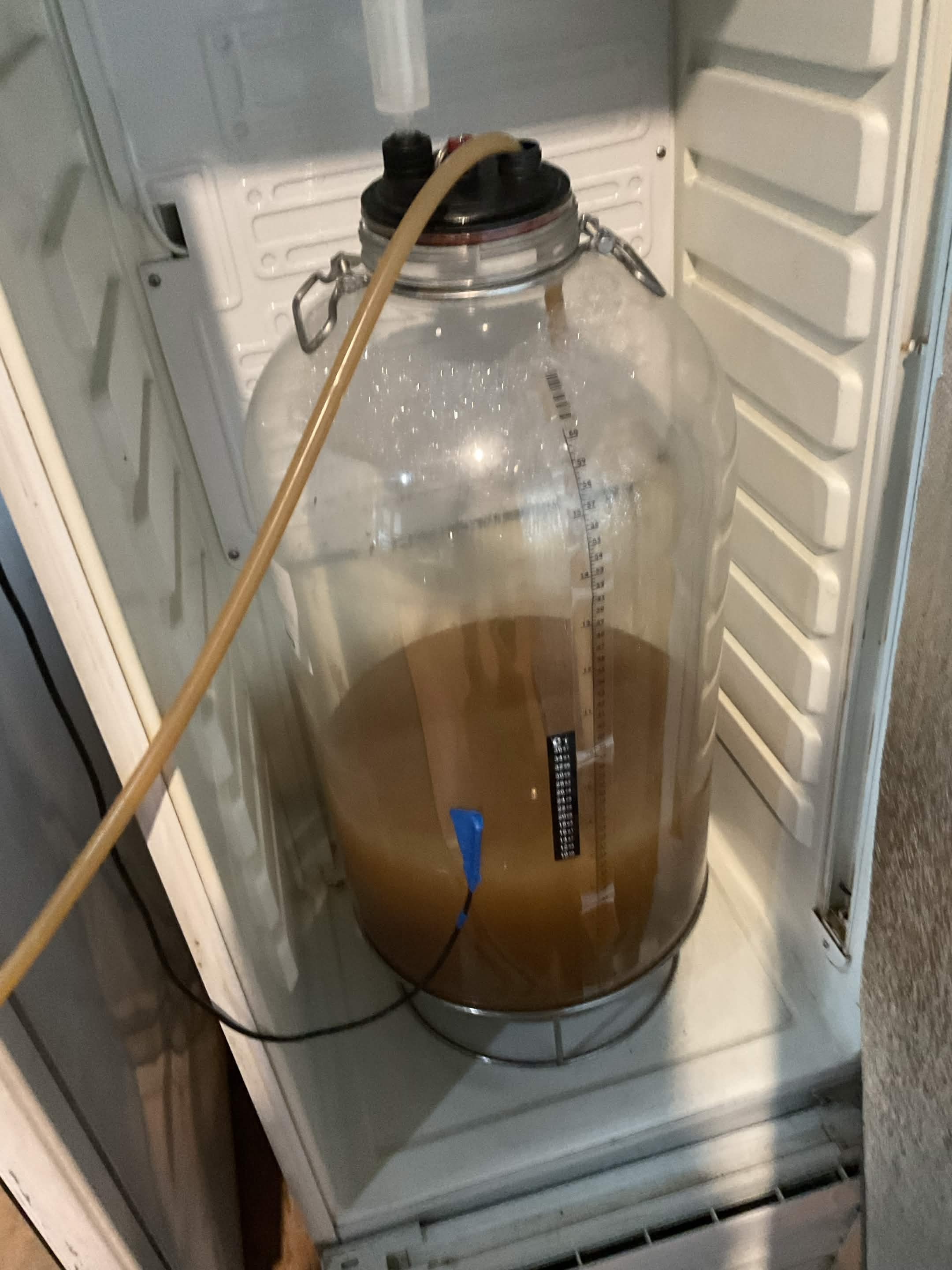 Wort in glass carboy fermenter — golden-amber NEIPA